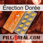 Érection Dorée new05
